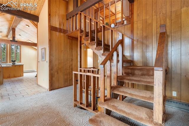 MLS Image for 351  Porphry  ,Florissant, Colorado