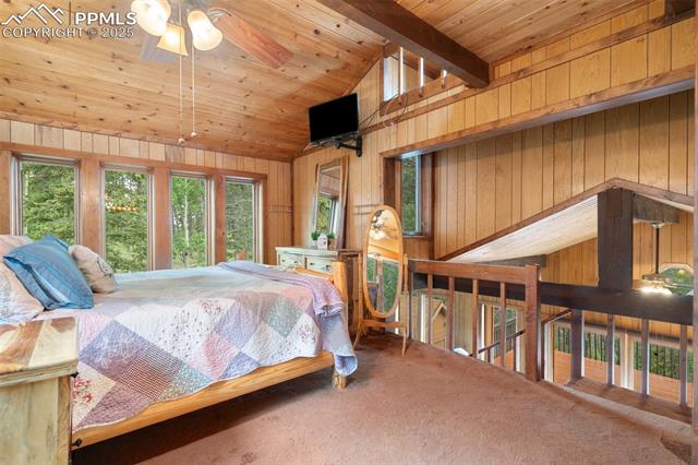 MLS Image for 351  Porphry  ,Florissant, Colorado
