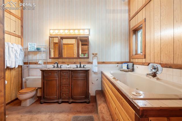 MLS Image for 351  Porphry  ,Florissant, Colorado