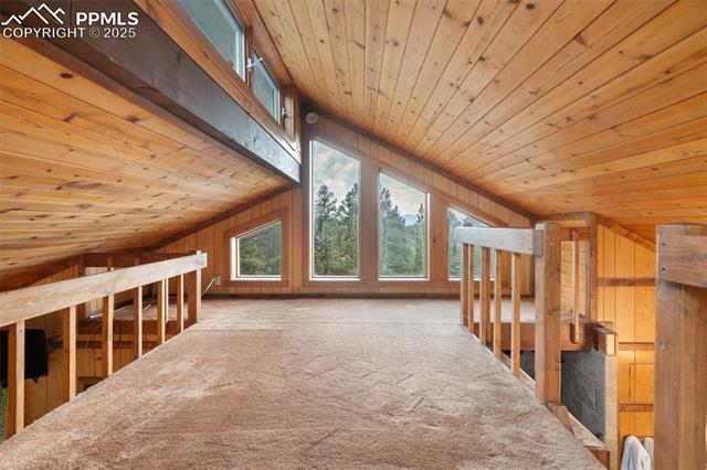 MLS Image for 351  Porphry  ,Florissant, Colorado