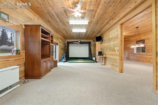 MLS Image for 351  Porphry  ,Florissant, Colorado