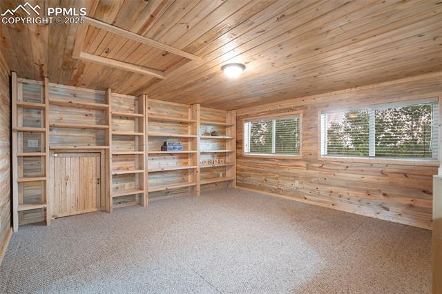 MLS Image for 351  Porphry  ,Florissant, Colorado