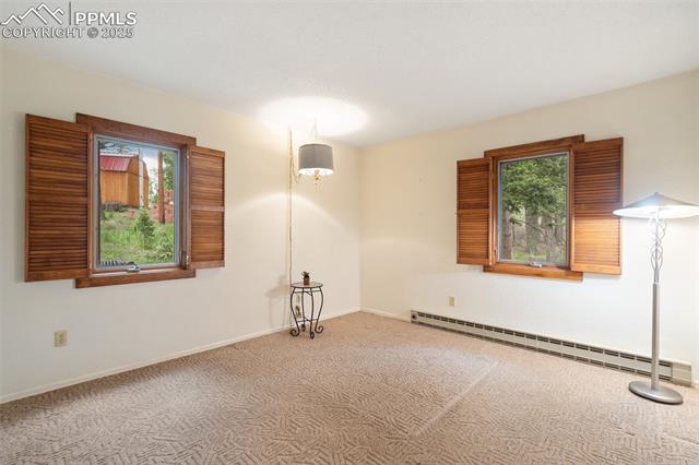 MLS Image for 351  Porphry  ,Florissant, Colorado