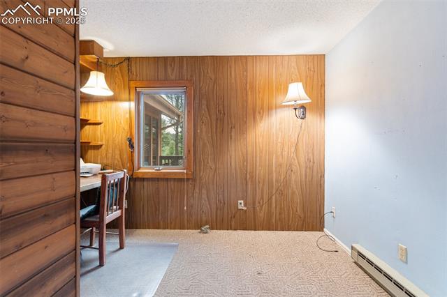MLS Image for 351  Porphry  ,Florissant, Colorado