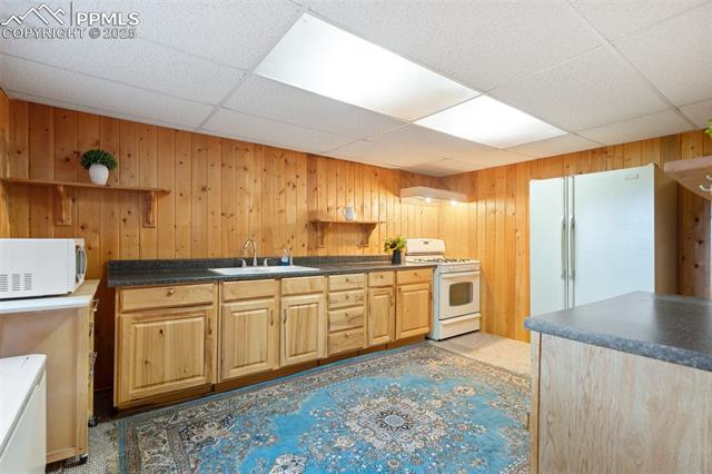 MLS Image for 351  Porphry  ,Florissant, Colorado