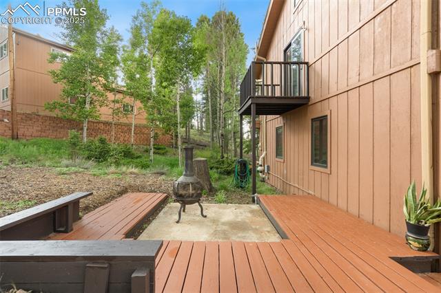 MLS Image for 351  Porphry  ,Florissant, Colorado