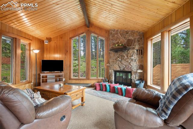 MLS Image for 351  Porphry  ,Florissant, Colorado