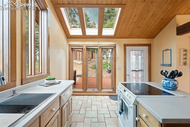 MLS Image for 351  Porphry  ,Florissant, Colorado