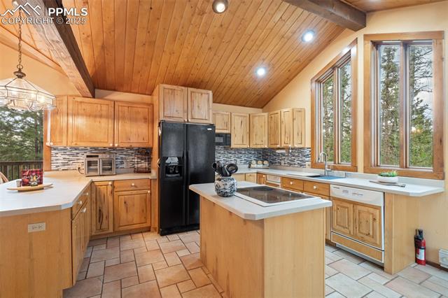 MLS Image for 351  Porphry  ,Florissant, Colorado