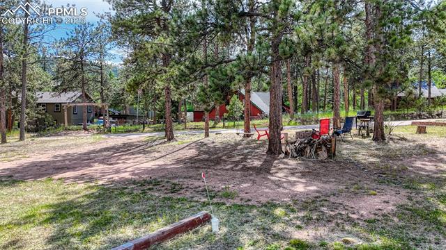 MLS Image for 1075 S Woodland  ,Woodland Park, Colorado