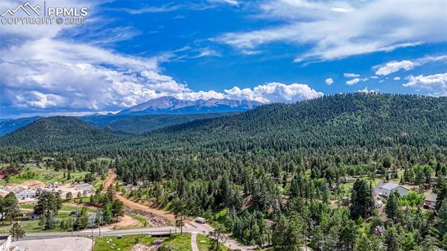 MLS Image for 1075 S Woodland  ,Woodland Park, Colorado
