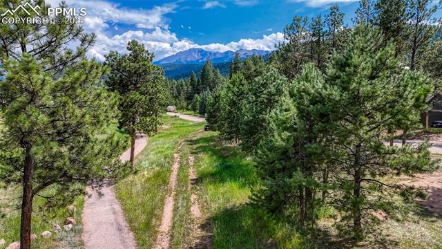 MLS Image for 1075 S Woodland  ,Woodland Park, Colorado