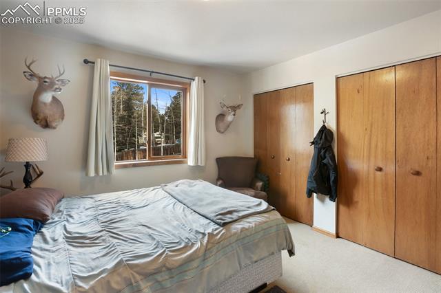 MLS Image for 171  Bluebird  ,Woodland Park, Colorado