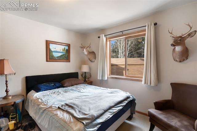 MLS Image for 171  Bluebird  ,Woodland Park, Colorado