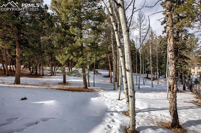 MLS Image for 171  Bluebird  ,Woodland Park, Colorado