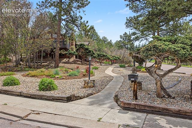 MLS Image for 5905  Castlewood  ,Colorado Springs, Colorado