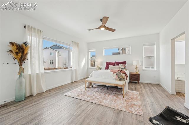 MLS Image for 1094  Rambling Oak  ,Monument, Colorado