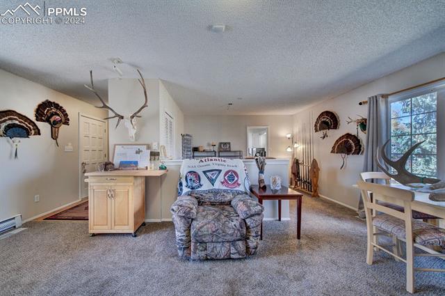 MLS Image for 760 W Kelleys  ,Woodland Park, Colorado