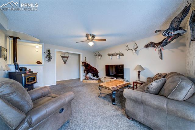 MLS Image for 760 W Kelleys  ,Woodland Park, Colorado