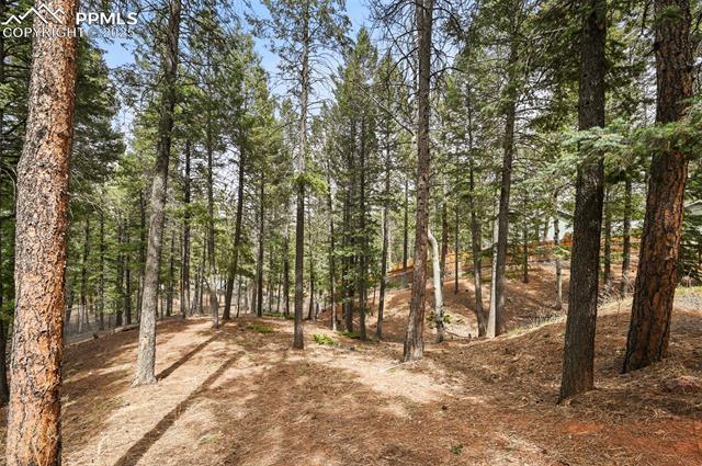 MLS Image for 1300 W Midland  ,Woodland Park, Colorado