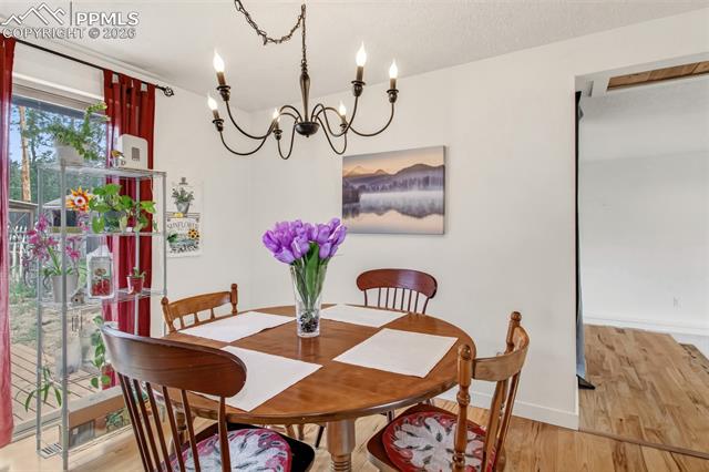 MLS Image for 1217  Michael  ,Woodland Park, Colorado