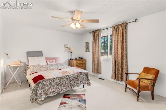 MLS Image for 1217  Michael  ,Woodland Park, Colorado