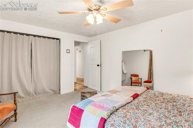 MLS Image for 1217  Michael  ,Woodland Park, Colorado