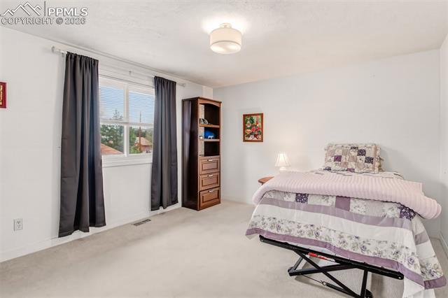 MLS Image for 1217  Michael  ,Woodland Park, Colorado