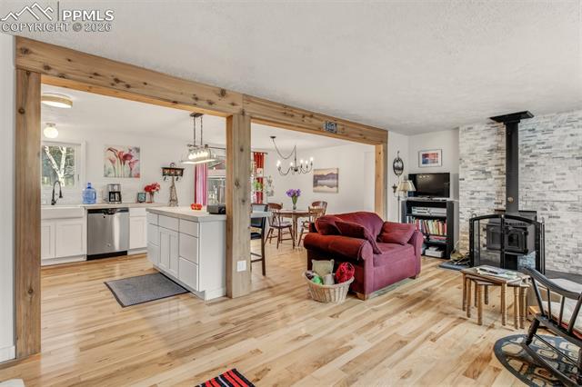 MLS Image for 1217  Michael  ,Woodland Park, Colorado