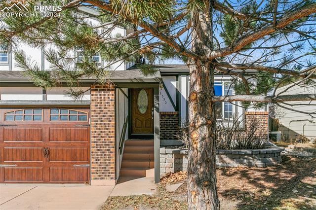 MLS Image for 3550  Rockhampton  ,Colorado Springs, Colorado