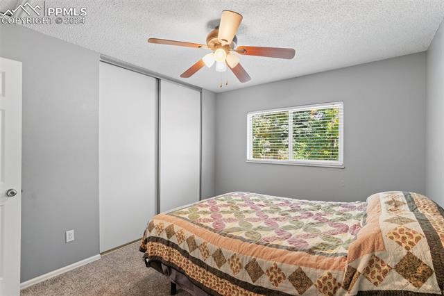 MLS Image for 5101 N Hackamore  ,Colorado Springs, Colorado