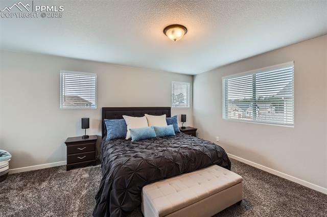 MLS Image for 668  Sage Forest  ,Monument, Colorado