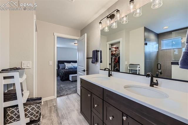 MLS Image for 668  Sage Forest  ,Monument, Colorado