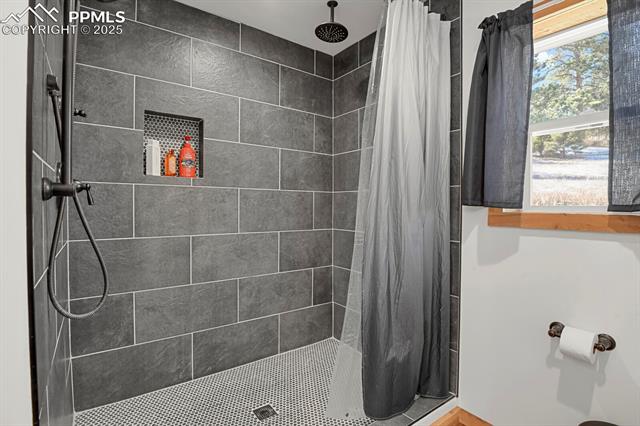 MLS Image for 1053  Will Scarlet  ,Divide, Colorado