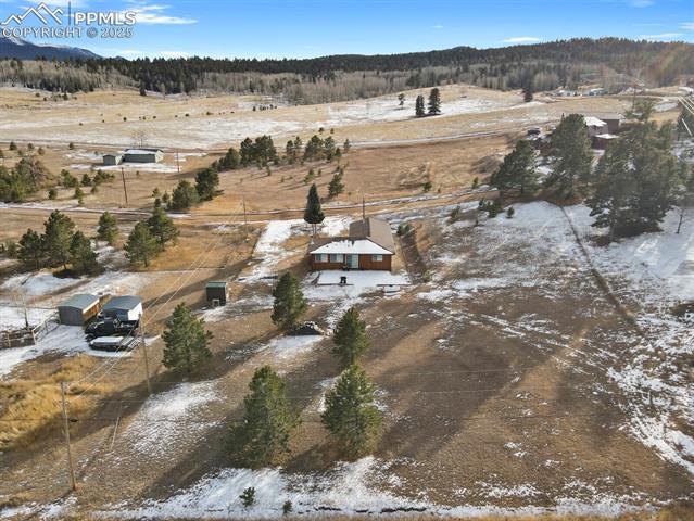 MLS Image for 1053  Will Scarlet  ,Divide, Colorado