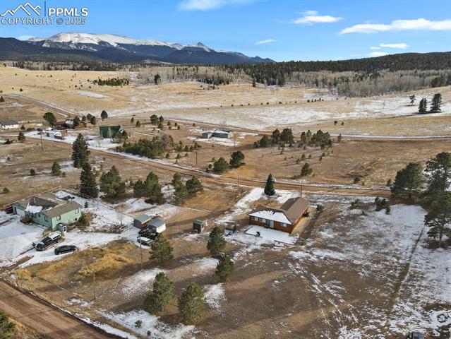 MLS Image for 1053  Will Scarlet  ,Divide, Colorado