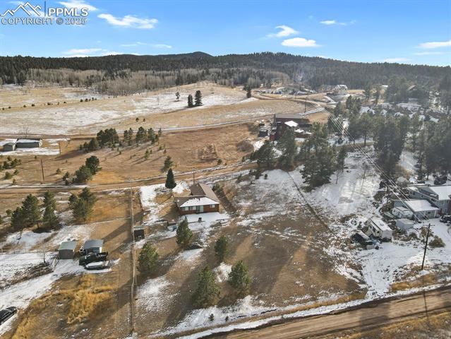 MLS Image for 1053  Will Scarlet  ,Divide, Colorado
