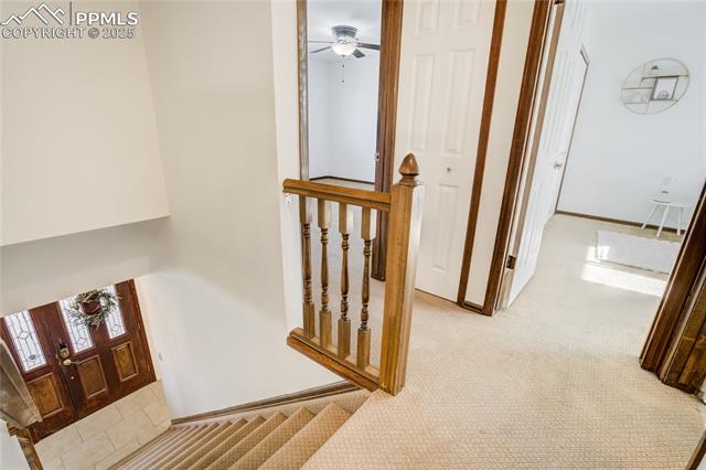 MLS Image for 6  Strawflower  ,Pueblo, Colorado