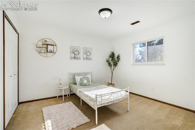 MLS Image for 6  Strawflower  ,Pueblo, Colorado