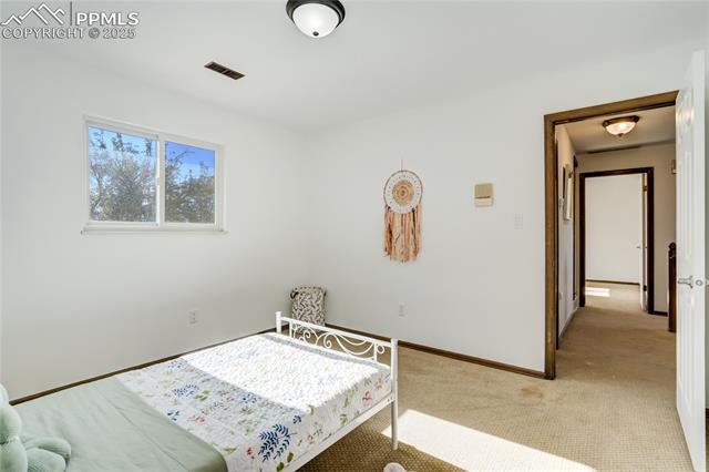 MLS Image for 6  Strawflower  ,Pueblo, Colorado