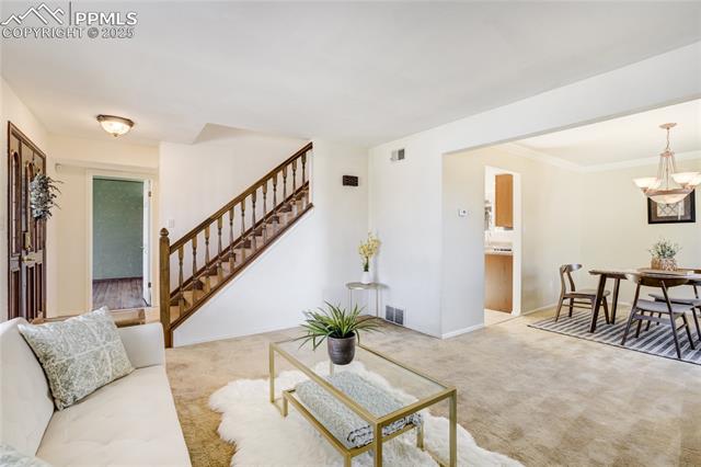 MLS Image for 6  Strawflower  ,Pueblo, Colorado