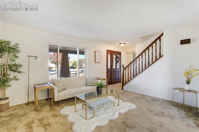 MLS Image for 6  Strawflower  ,Pueblo, Colorado