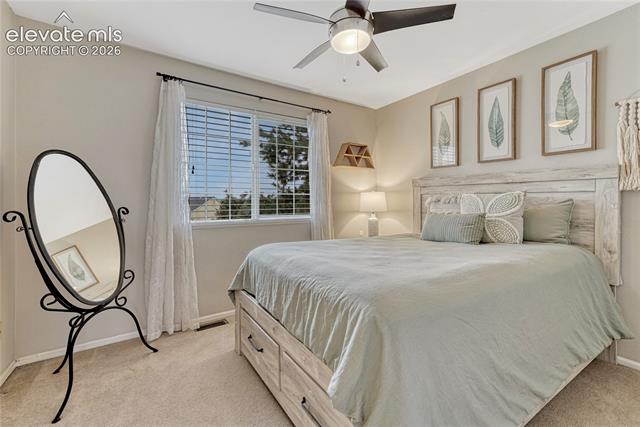 MLS Image for 4970  Buckaroo  ,Colorado Springs, Colorado