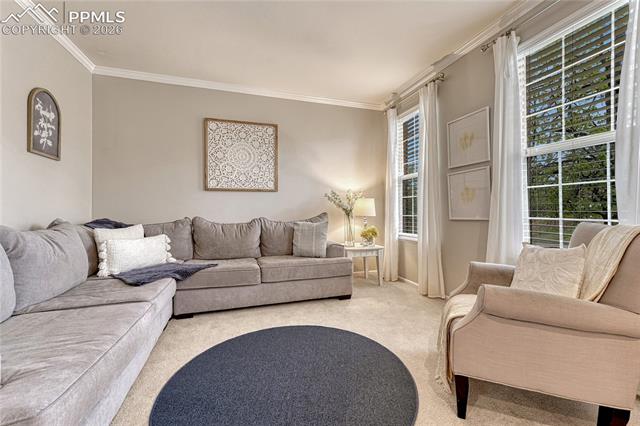 MLS Image for 4970  Buckaroo  ,Colorado Springs, Colorado