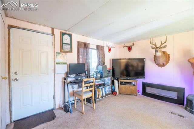 MLS Image for 310  Blossom  ,Woodland Park, Colorado