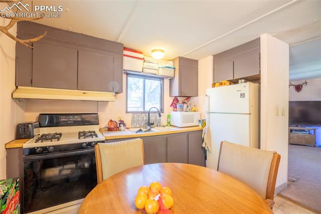 MLS Image for 310  Blossom  ,Woodland Park, Colorado