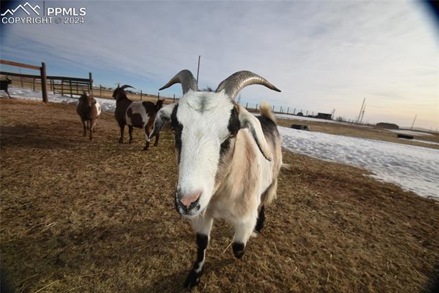 MLS Image for 9990  Hahn  ,Calhan, Colorado