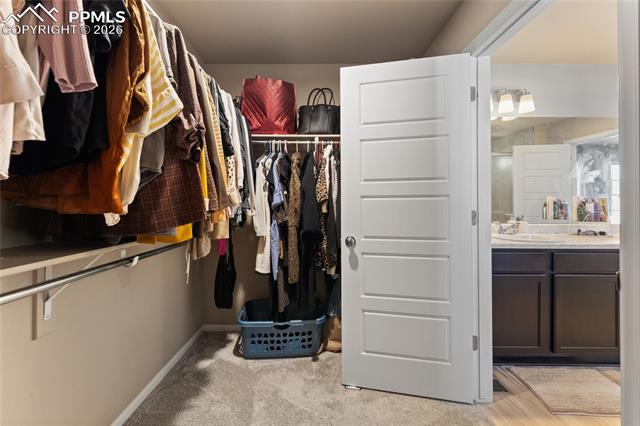 MLS Image for 6937  Green Stalk  ,Colorado Springs, Colorado