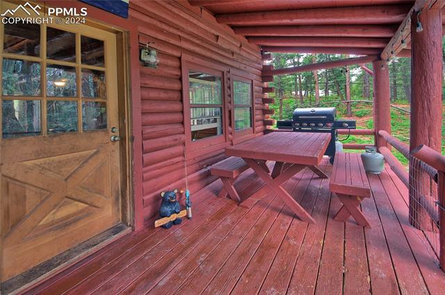 MLS Image for 194  Spruce  ,Woodland Park, Colorado