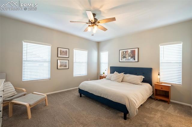 MLS Image for 8229  Hardwood  ,Colorado Springs, Colorado